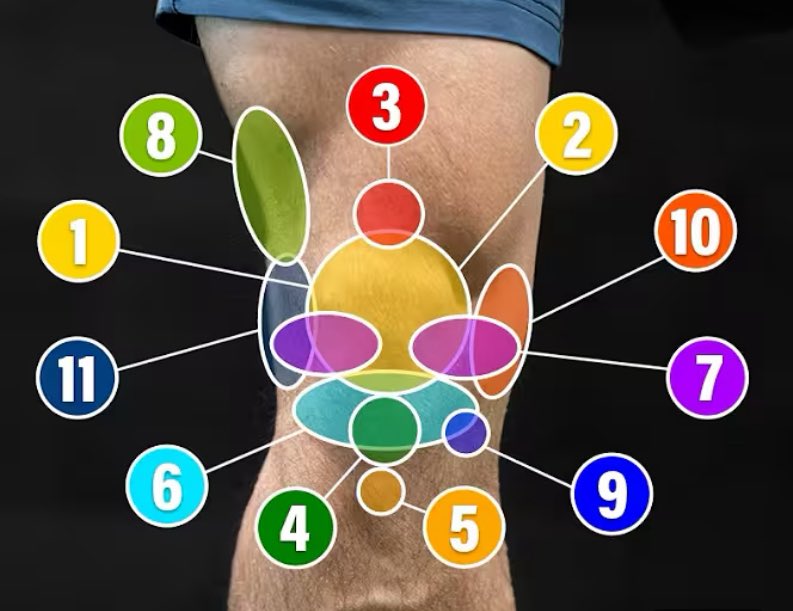 ثامر الشهراني | Thamer tweet media