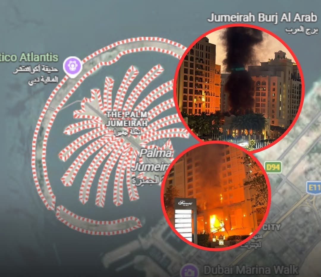 Nina🐝 tweet media