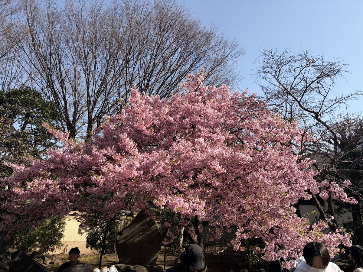 pp411m's tweet photo. 先日までインフルエンザB型
3日間で半年分は寝たかもしれん
悪くないんだなコレが

⏬ゲラゲラ笑って読んで決めﾏｼﾀ

・Theater Reminiscence
・岸田理生「料理人」
・作：岸田理生　演出・構成：笹森幸　料理：関元厚貴 　振付：古川茉那佳
・期日：2026年6月27日（土）・28日（日）／7月4日（土） https://t.co/MVyjzRHgIA
