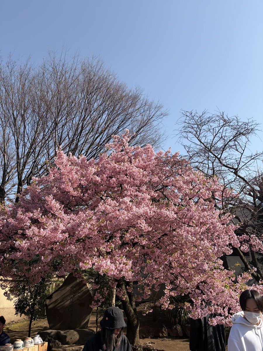 pp411m's tweet photo. 先日までインフルエンザB型
3日間で半年分は寝たかもしれん
悪くないんだなコレが

⏬ゲラゲラ笑って読んで決めﾏｼﾀ

・Theater Reminiscence
・岸田理生「料理人」
・作：岸田理生　演出・構成：笹森幸　料理：関元厚貴 　振付：古川茉那佳
・期日：2026年6月27日（土）・28日（日）／7月4日（土） https://t.co/MVyjzRHgIA