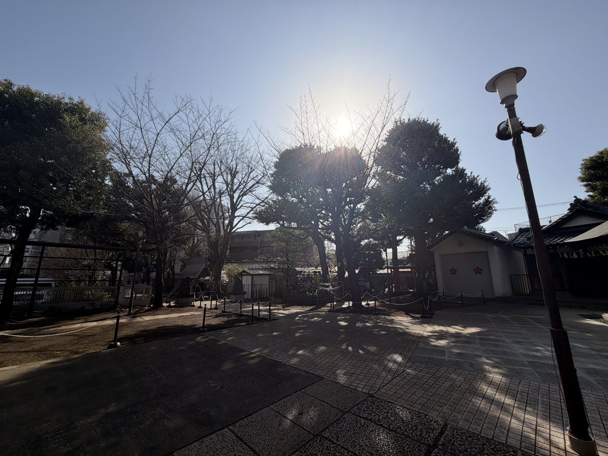 pp411m's tweet photo. 先日までインフルエンザB型
3日間で半年分は寝たかもしれん
悪くないんだなコレが

⏬ゲラゲラ笑って読んで決めﾏｼﾀ

・Theater Reminiscence
・岸田理生「料理人」
・作：岸田理生　演出・構成：笹森幸　料理：関元厚貴 　振付：古川茉那佳
・期日：2026年6月27日（土）・28日（日）／7月4日（土） https://t.co/MVyjzRHgIA