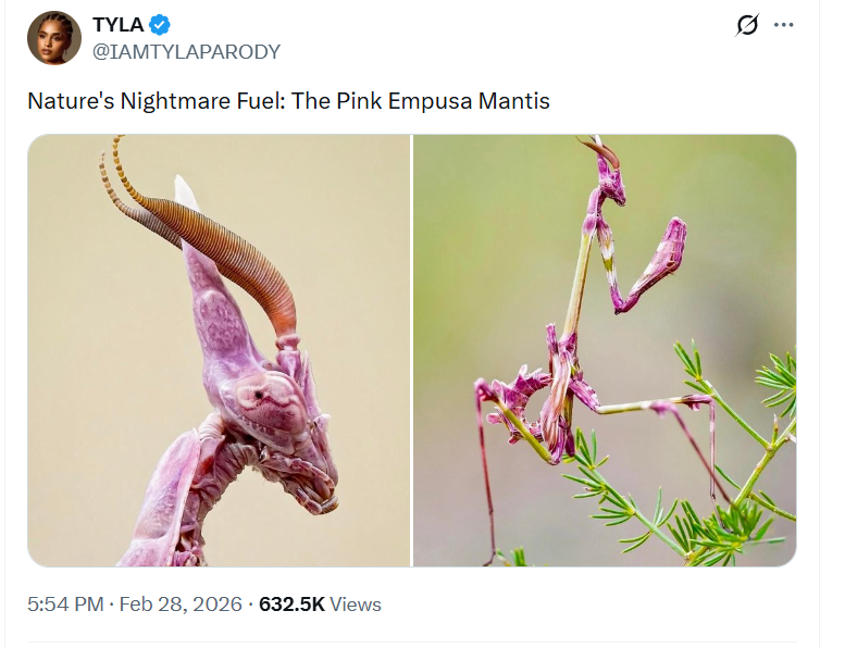 This is the kind of nightmare I like