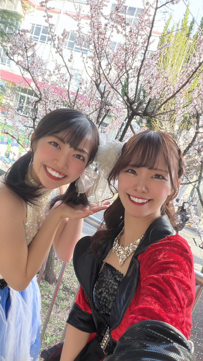 ミーナ🎩Magician🐰 (@fairy370m) / Posts / X