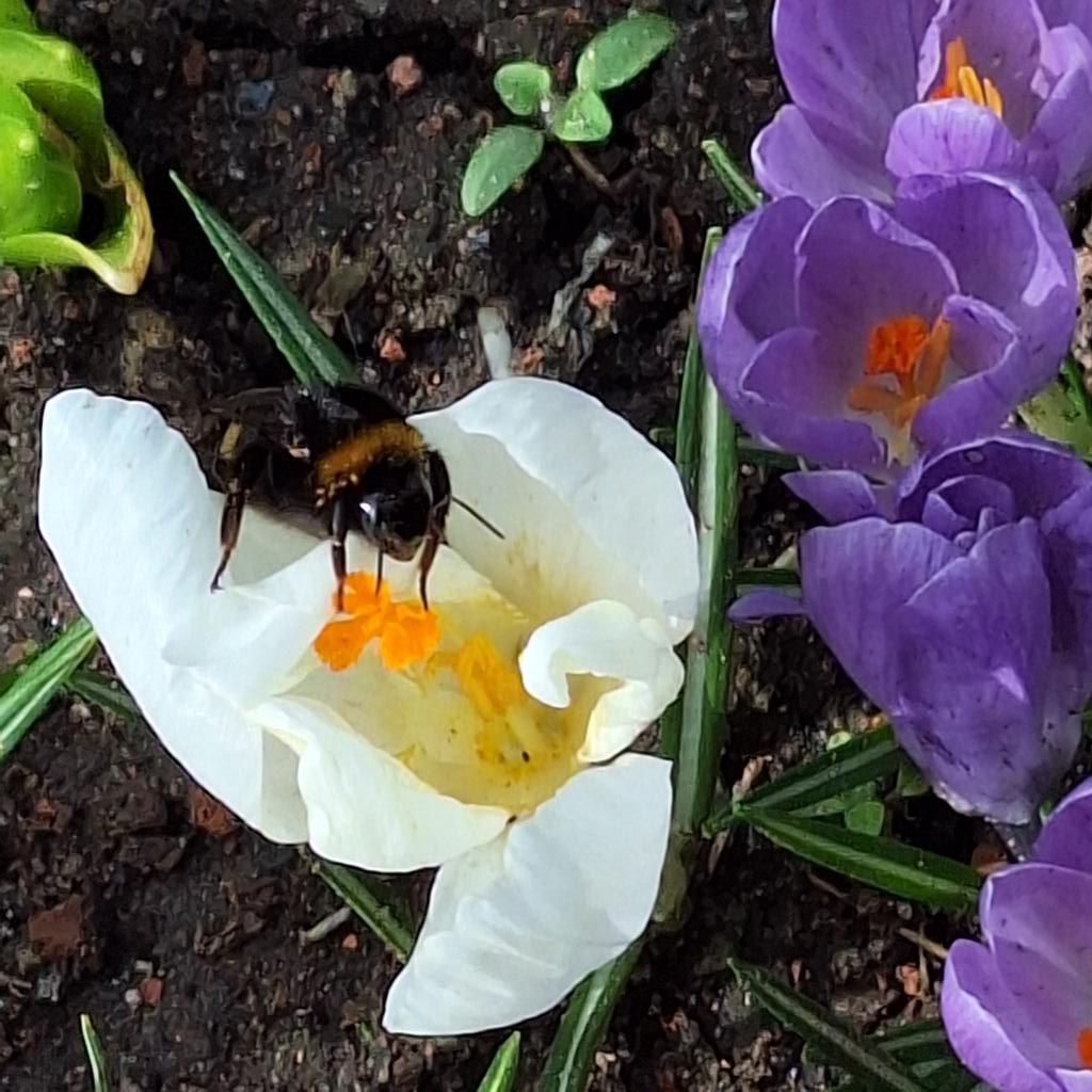 Earl 🌵👾🎮 tweet media