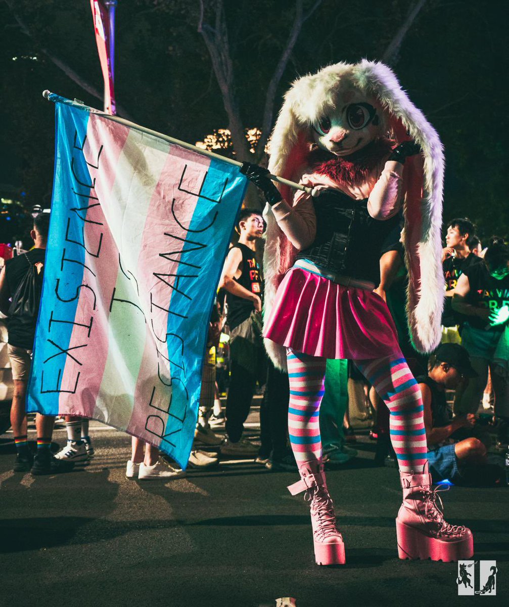 Hidero The Bunny 🐇🏳️‍⚧️ tweet media