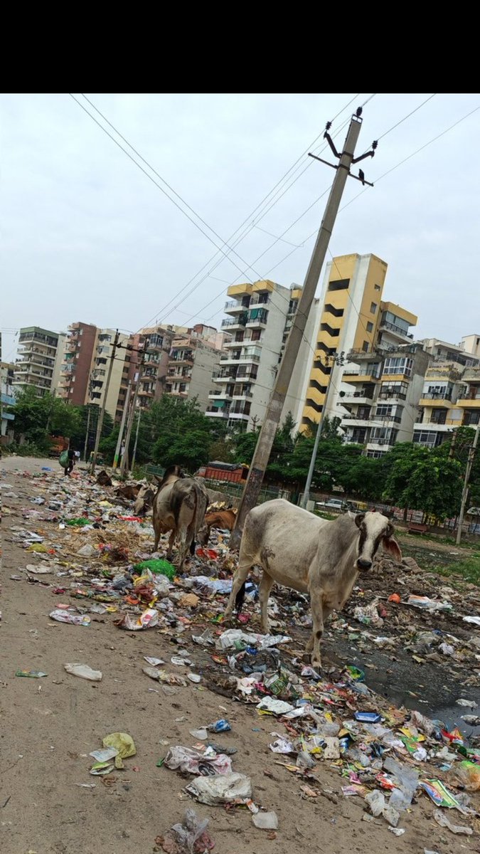 biased indian tweet media