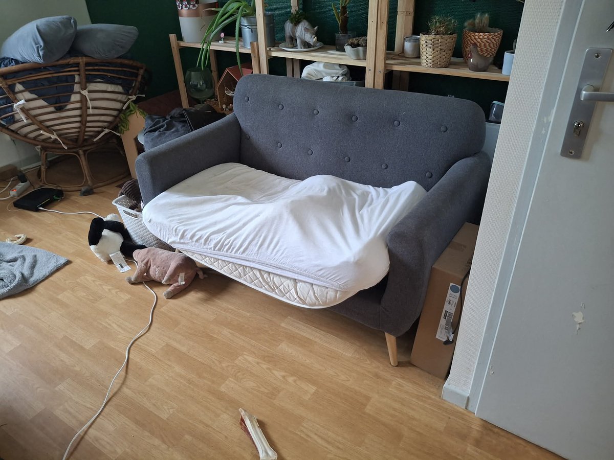 Cafeine_gc's tweet photo. Je mets un drap housse sur le matelas du canapé pour ne pas que mon chien ne salisse l'assise.

Mon chien : https://t.co/L0eGLuoKwT