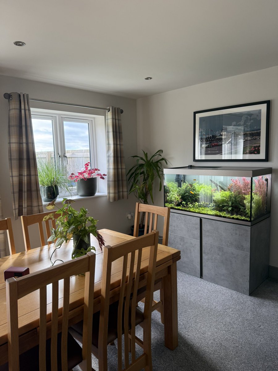 J Δ M Σ S tweet media