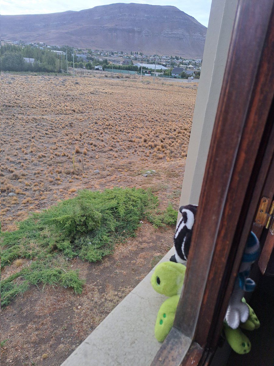 Nach einer weiteren fast schlaflosen Nacht am Flughafen in Buenos Aires sind wir jetzt in Calafate, eigentlich nur zwei Flugstunden von Trelew entfernt. Aber komplett anderes Klima, viel kälter. Aber dafür eine schöne Aussicht.