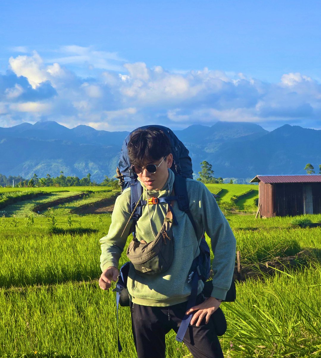 flight bumblebee tweet media