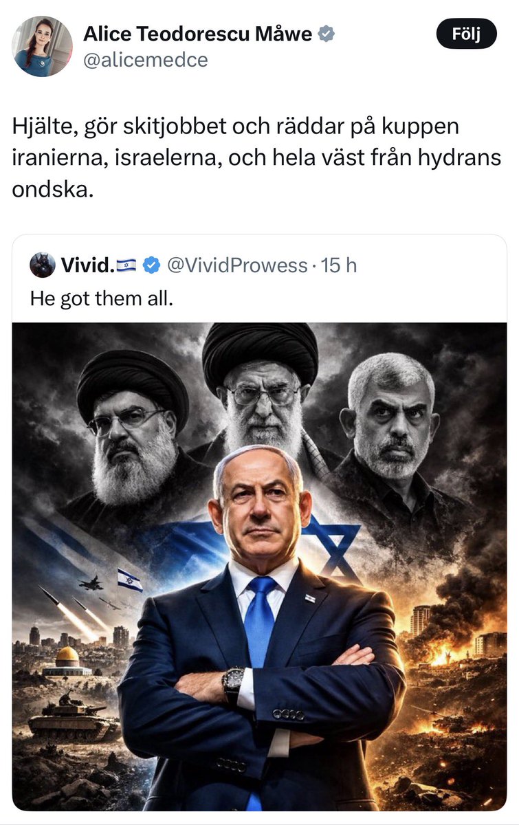 Leo Vene tweet media