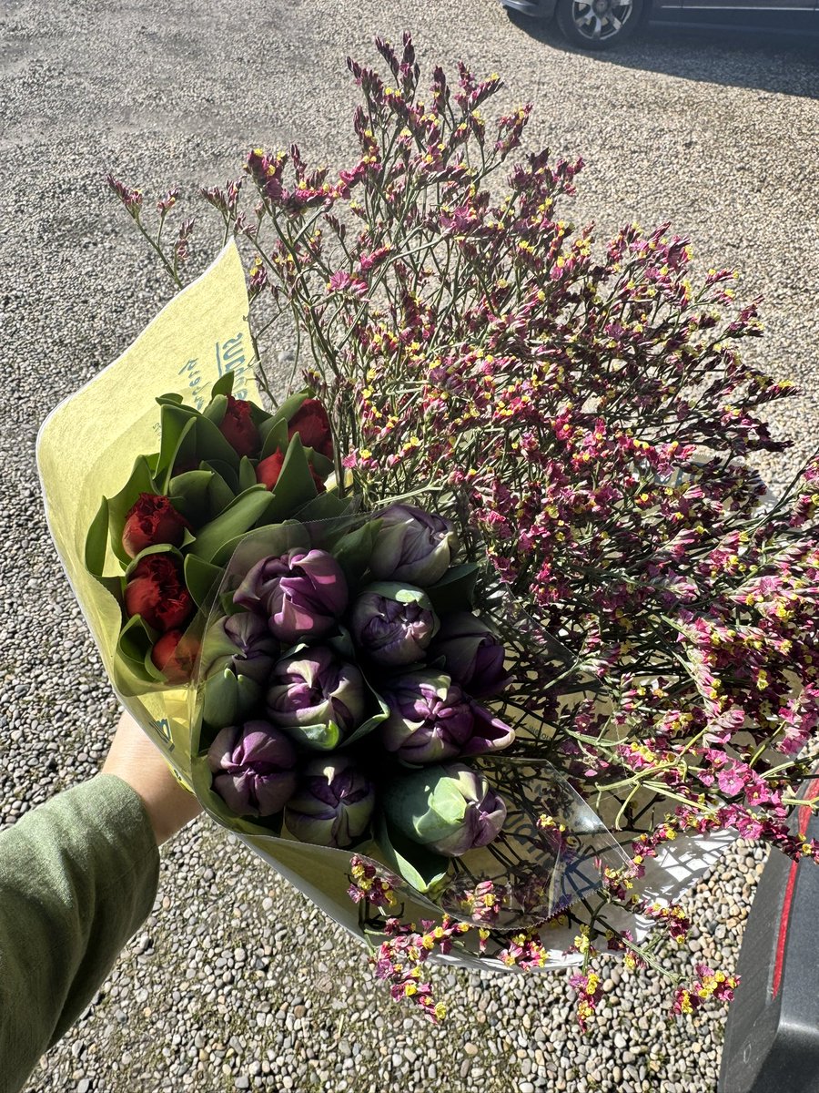 Speldenkussen80's tweet image. Als je dan toch in de buurt bent dan ga je meteen even wat moois kopen op het tulpenwochenende bij deze fijne bloemist in Elten 🥰 straks weer moois op tafel! #blumenhauserikhülkenberg #tulpjes #lente