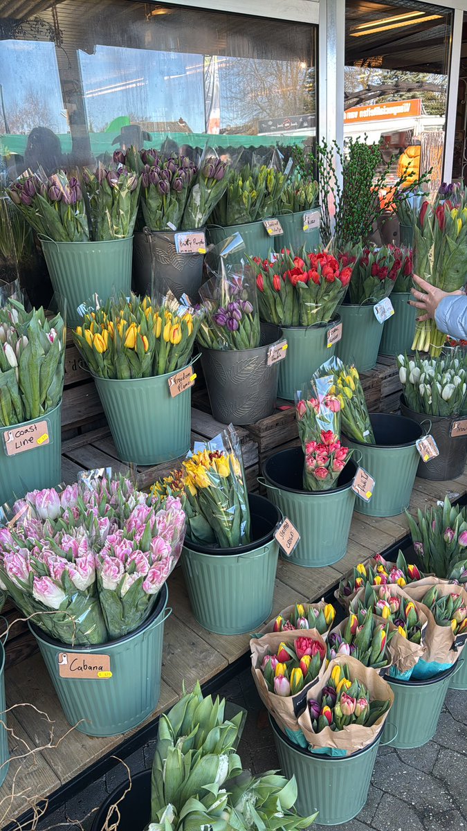 Speldenkussen80's tweet image. Als je dan toch in de buurt bent dan ga je meteen even wat moois kopen op het tulpenwochenende bij deze fijne bloemist in Elten 🥰 straks weer moois op tafel! #blumenhauserikhülkenberg #tulpjes #lente