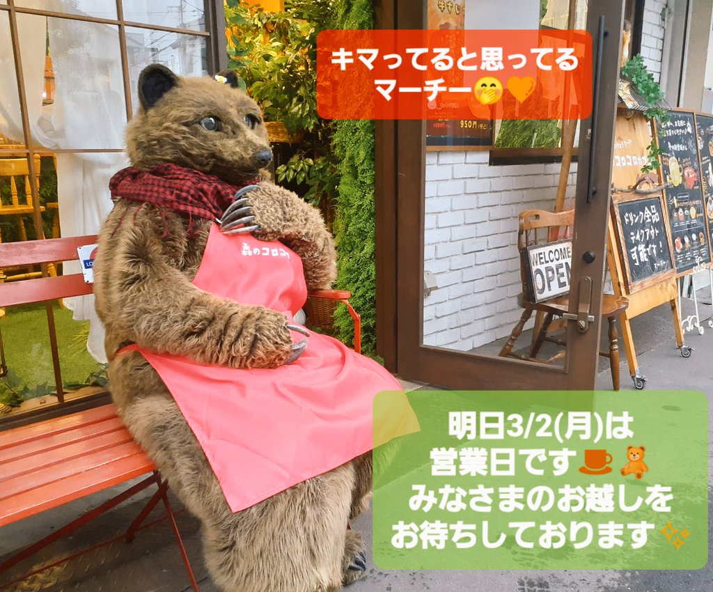 お店の前のベンチでカッコつけるマーチー🧸(5才・お年頃)🤭ｶﾜｲｲｯ♥️

🌳🌳🌳🌳🌳🌳🌳🌳🌳🌳
  
🧸森のコロコロカフェ☕
  
月・金 11:00～17:00
  
〒545-0013
大阪府大阪市阿倍野区長池町4-1
🌳🌳🌳🌳🌳🌳🌳🌳🌳🌳