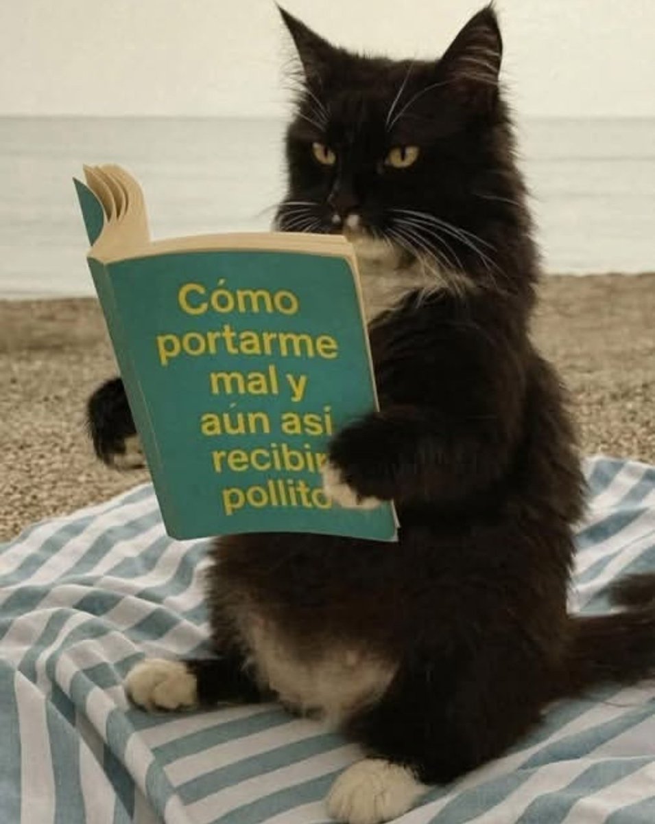 El libro que estoy casi segura que leen todos los gatos: