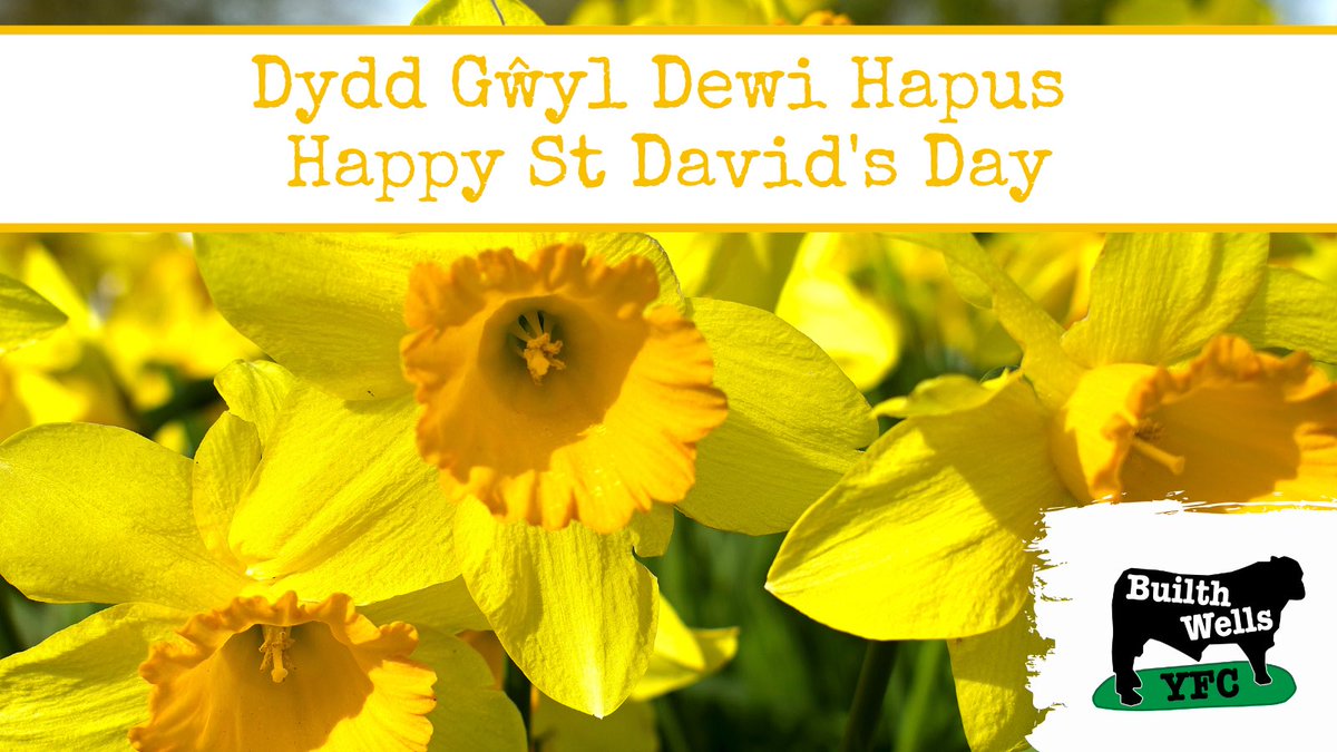 🏴󠁧󠁢󠁷󠁬󠁳󠁿 DYDD GŴYL DEWI / ST DAVID’S DAY 🏴󠁧󠁢󠁷󠁬󠁳󠁿 

Dydd Gŵyl Dewi Hapus / Happy St David’s Day to all of our members, club leaders and supporters ✨

Hope you all have a great day 🙌

#dyddgwyldewi #dyddgwyldewihapus #stdavidsday #StDavidsDay