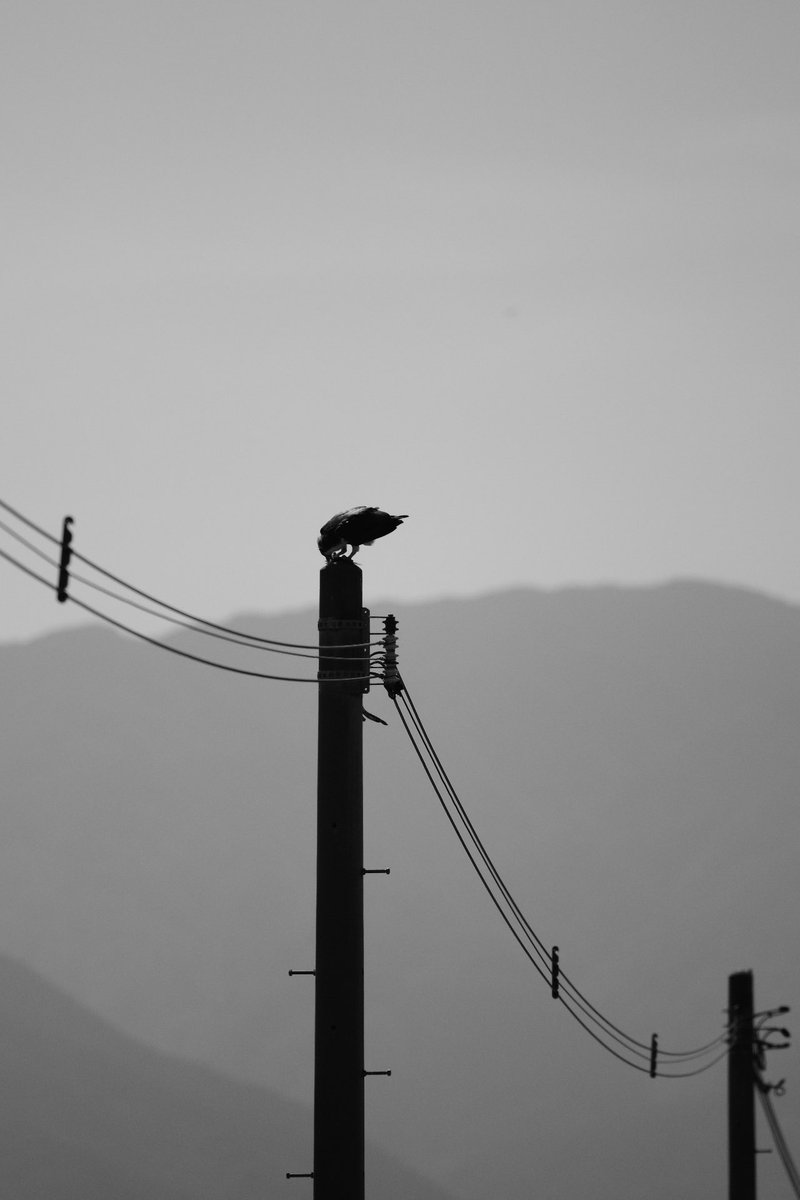 logmaid's tweet photo. #pentaxk3mkiii https://t.co/m1ttVBZxu3
