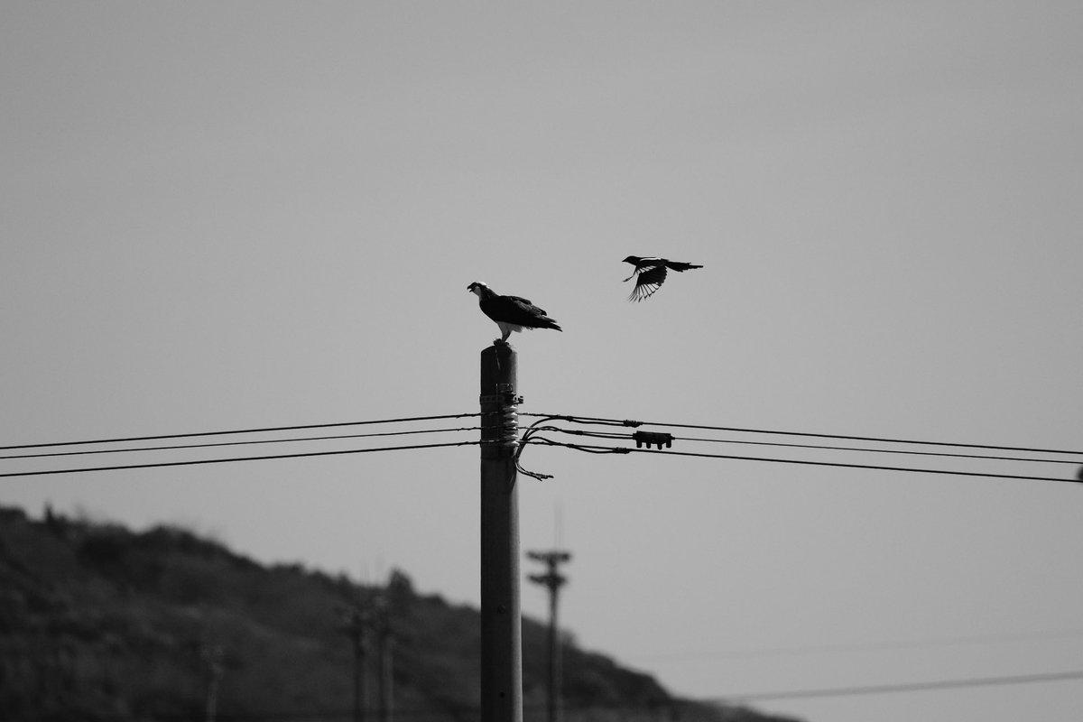 logmaid's tweet photo. #pentaxk3mkiii https://t.co/m1ttVBZxu3