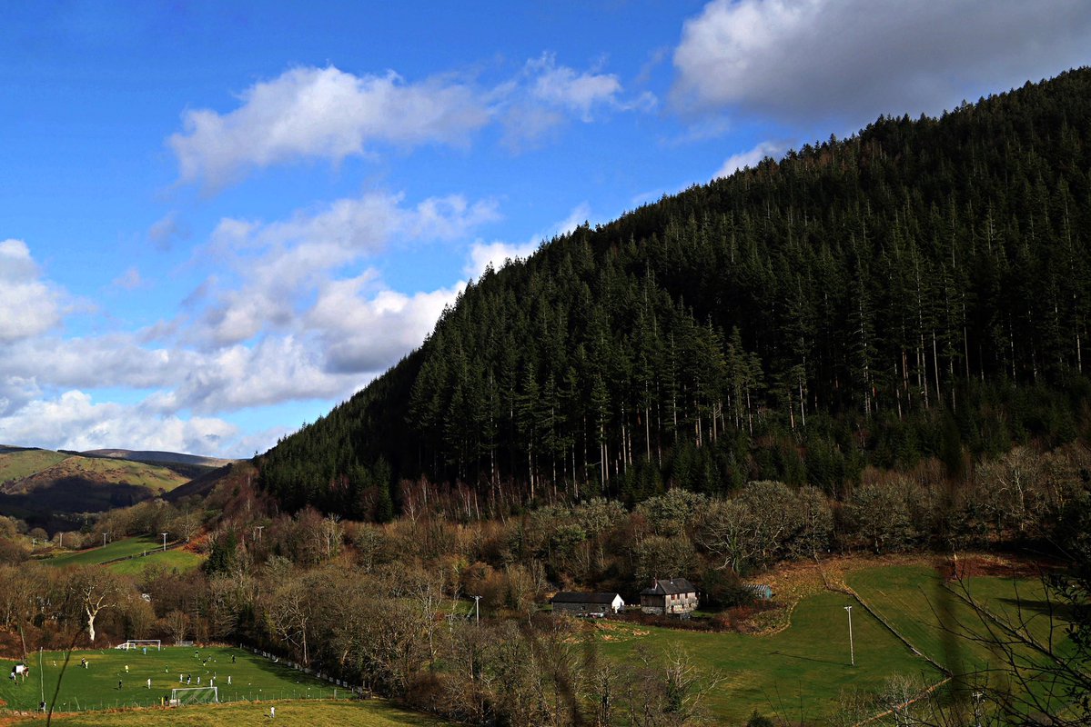 Eado (photo) tweet media