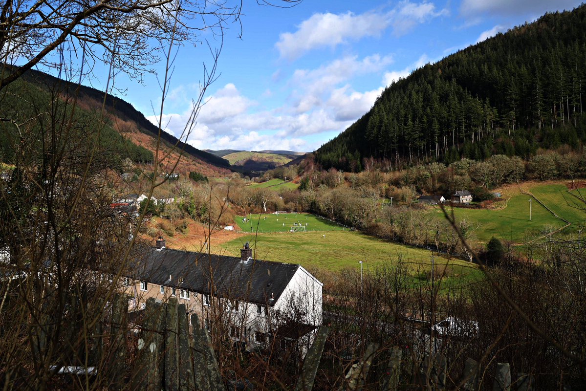 Eado (photo) tweet media