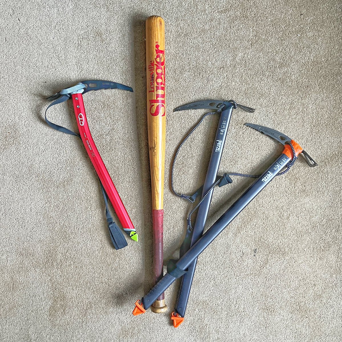 Tom Isitt 🐝 tweet media