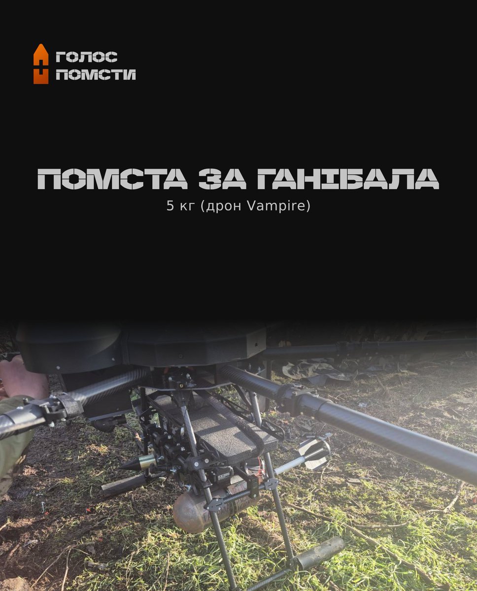 Vengeance Shot (Голос Помсти) tweet media