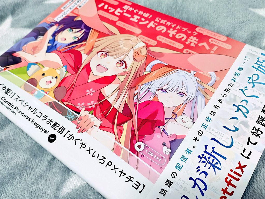 超かぐや姫 公式ガイドブックという名のパンフレットを見つけたのでお