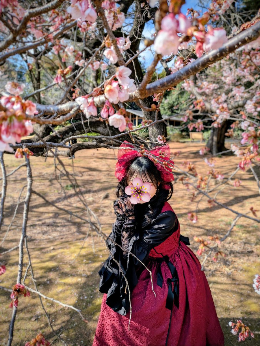 3月！お花いっぱいの季節到来だ〜！🌸