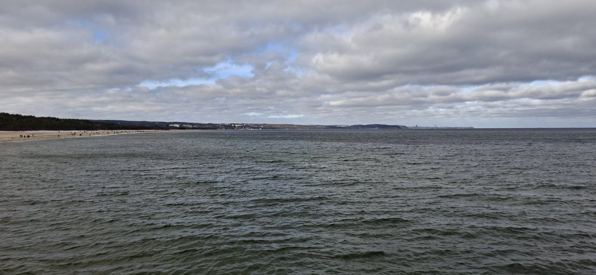 MARO STERNIK 💯🛥️⚓ tweet media