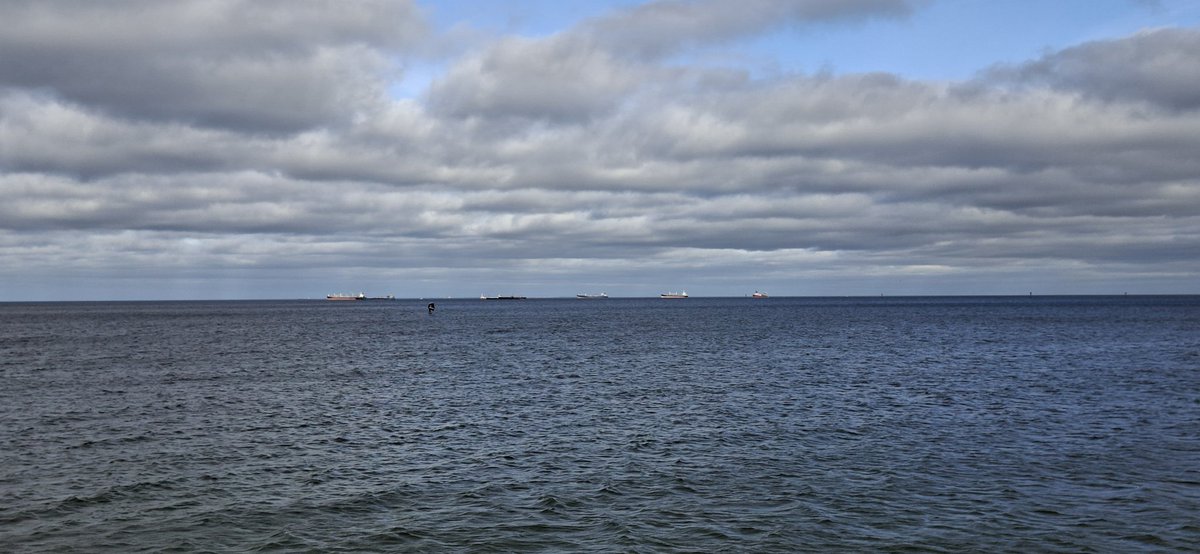 MARO STERNIK 💯🛥️⚓ tweet media