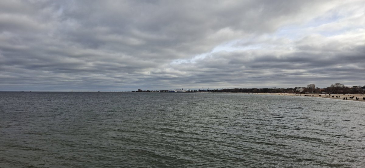 MARO STERNIK 💯🛥️⚓ tweet media