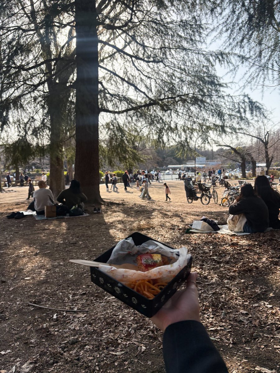 みち草 tweet media