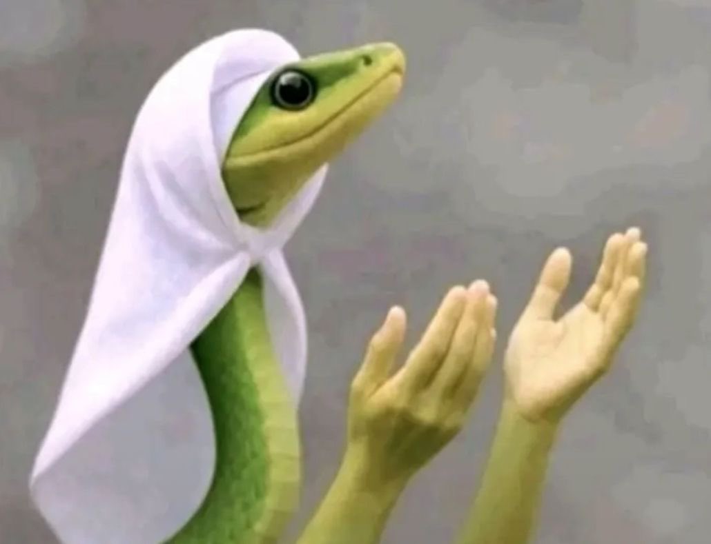 Got exams for the next two weeks 
   Wish me good luck, guys🙌