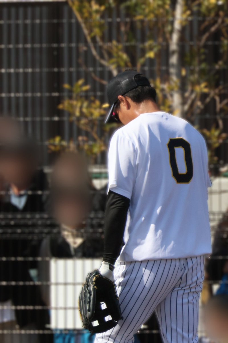tg_mypt's tweet photo. 今日はサブグラでも汗流してた

2026.03.01📍SGL

#木浪聖也 https://t.co/1pirb2G31A