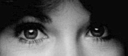 Bufo Calvin tweet media