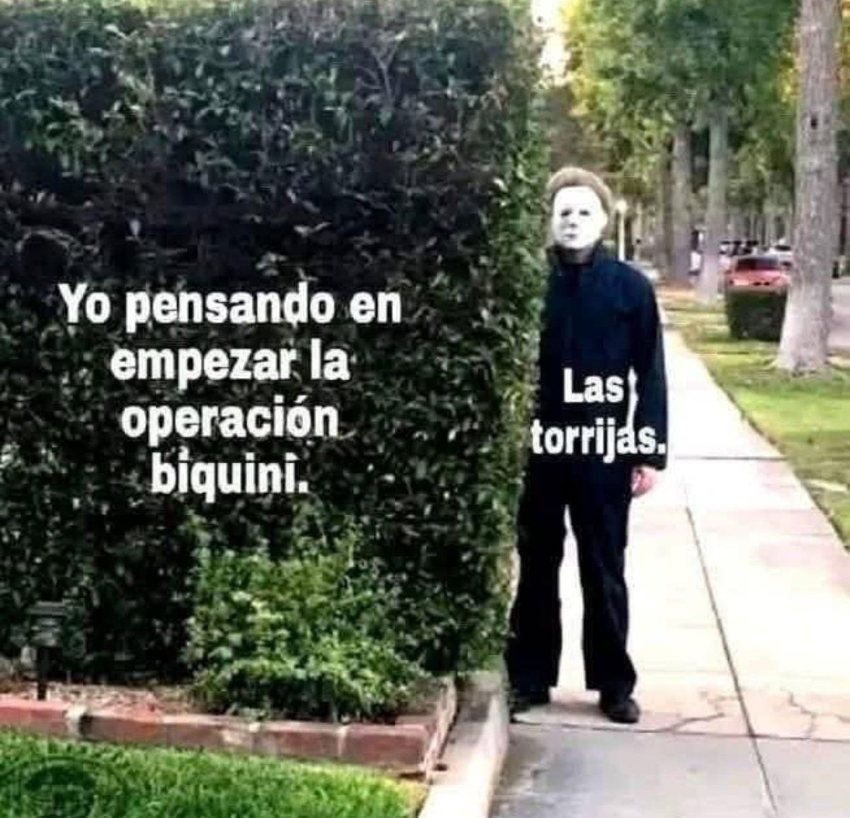 ☃️Oki Spooky Navideña🎄🎃🍁 tweet media