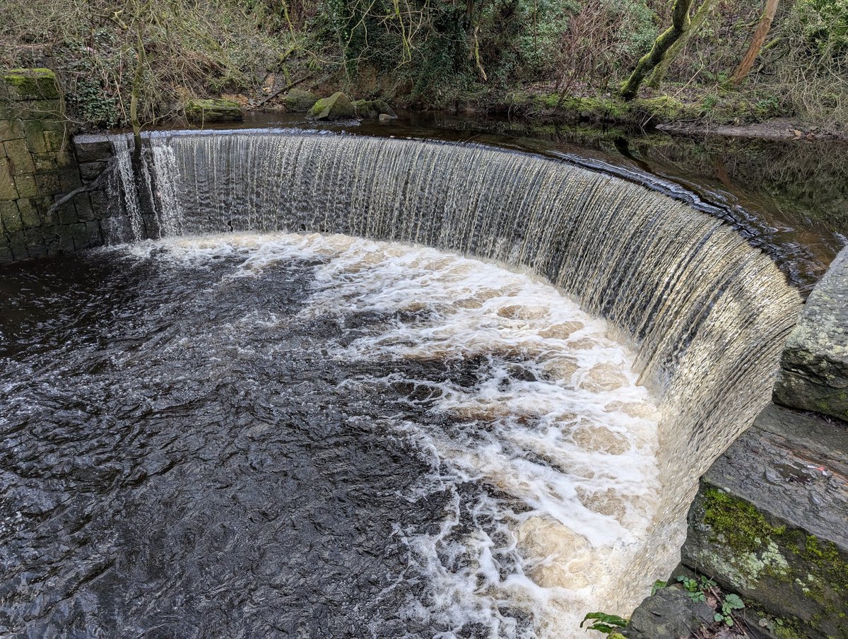 Merrers73's tweet image. 1st of March and it feels like Spring is here. #Slaithwaite #Golcar #Milnsbridge