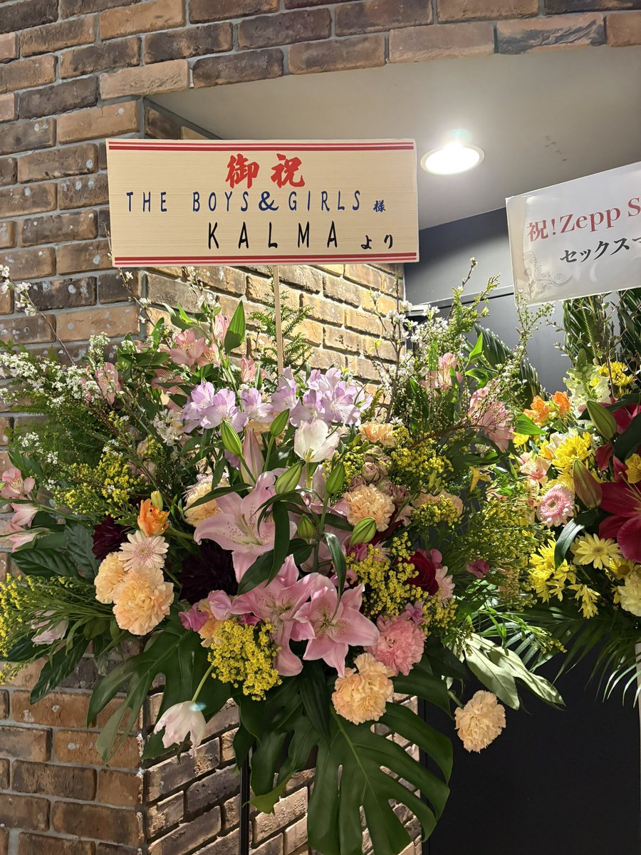 shiorio3o's tweet photo. 大好きな札幌バンド🫶
@wtnb_sng_215  @THE_BOYS_GIRLS https://t.co/hbtFepUzwv