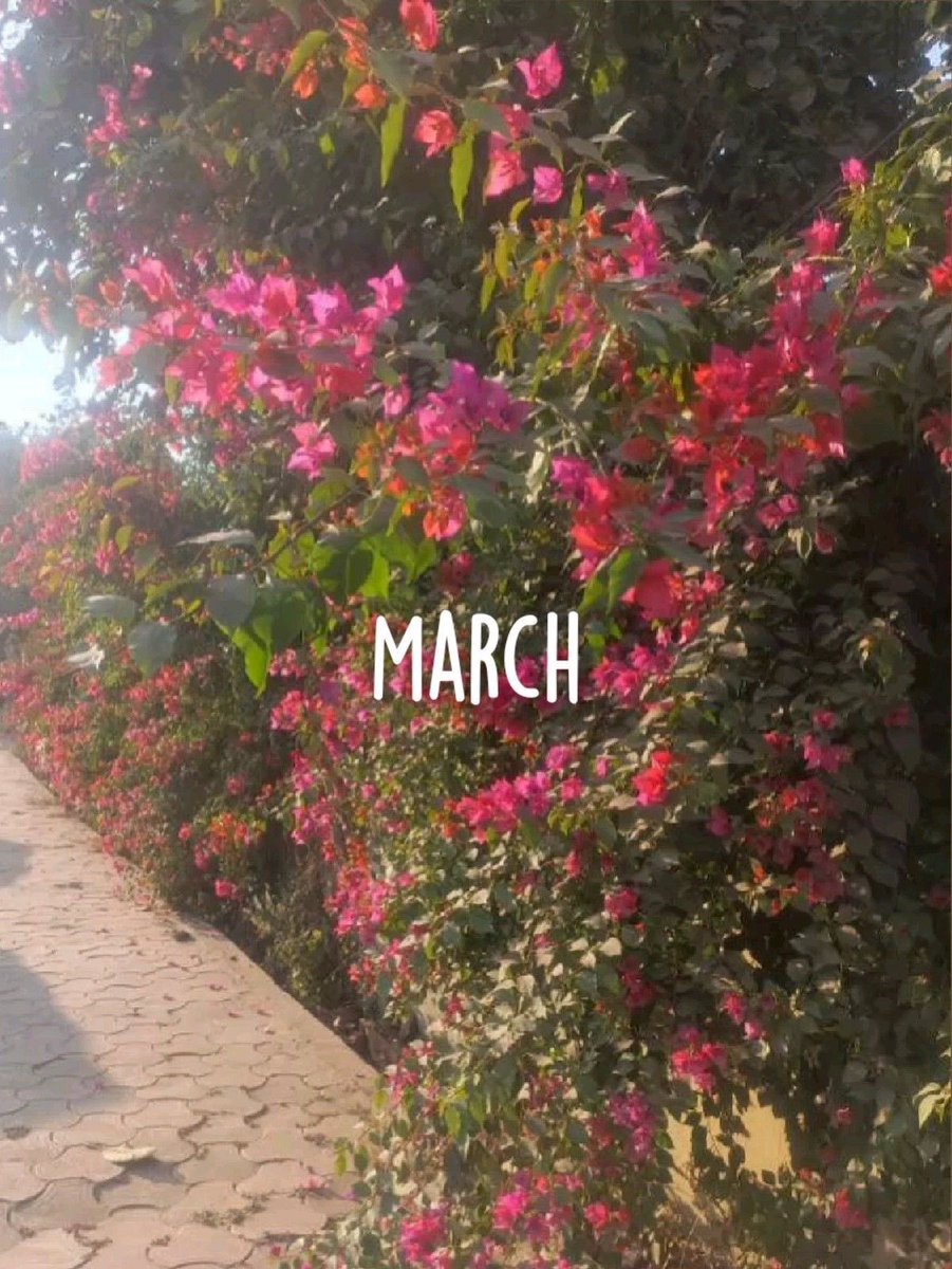 AngeLtongue's tweet image. #March1st #HappySpring #WelcomeMarch #LoveAndLight #WorldLove #UniversalLove #Peace 💎🌺☀️🕊️