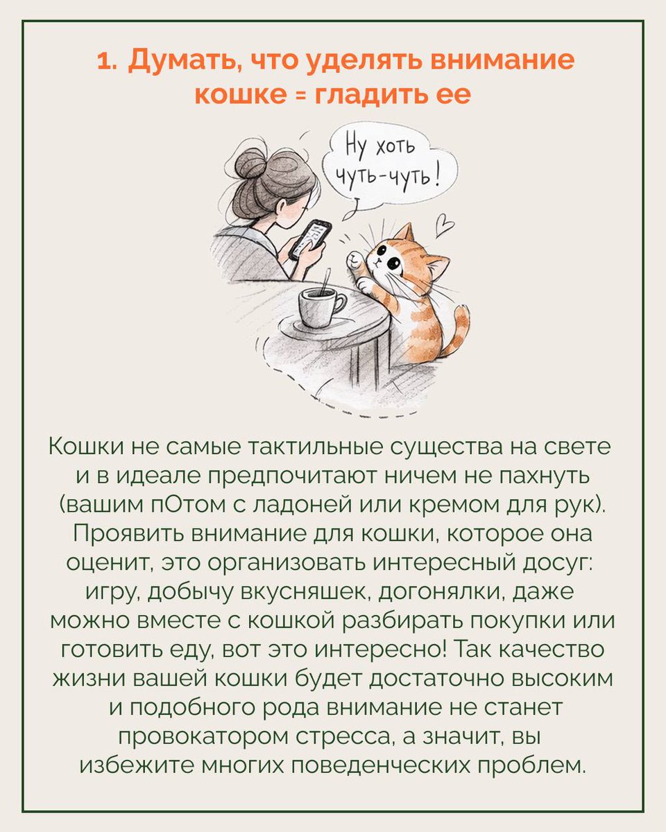 Доброхвост - благотворительный проект tweet media