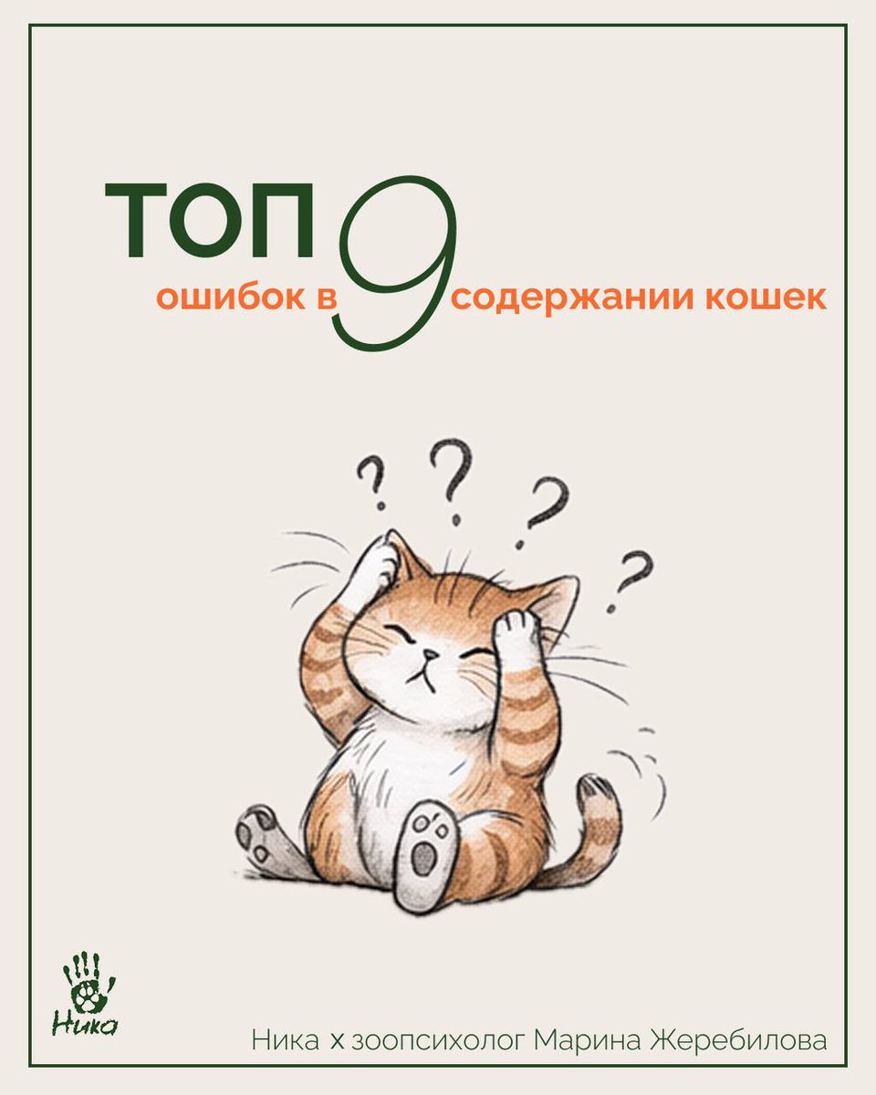 Доброхвост - благотворительный проект tweet media