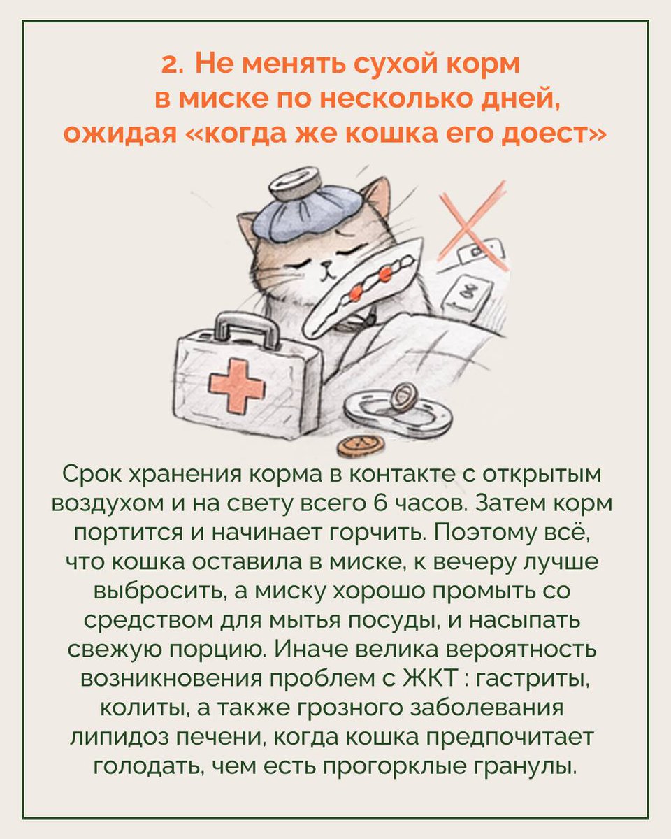 Доброхвост - благотворительный проект tweet media