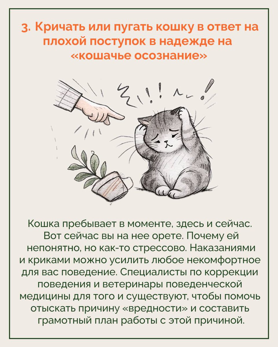 Доброхвост - благотворительный проект tweet media