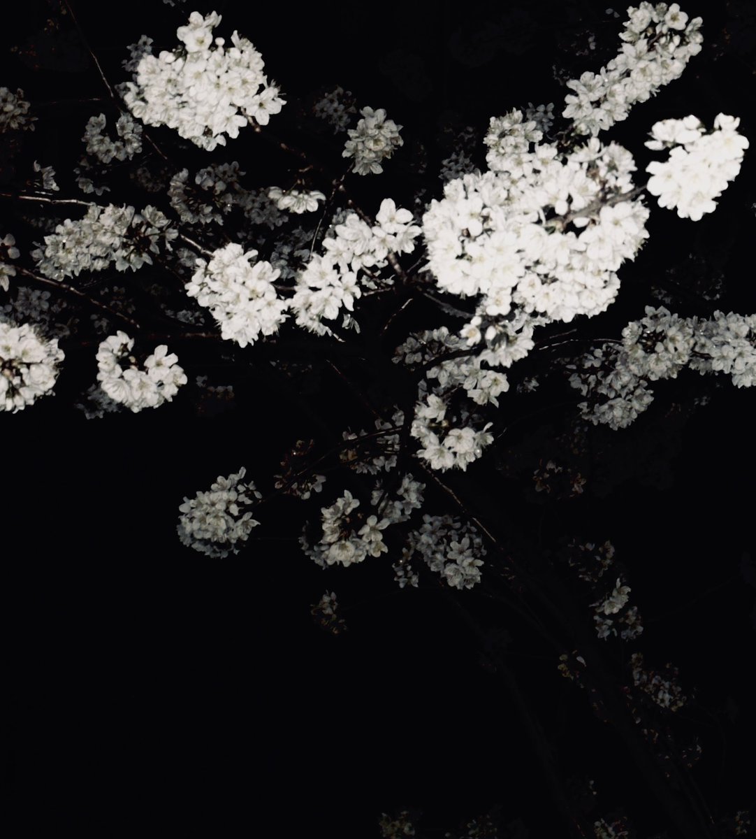 硫酸铜炒饭 tweet media