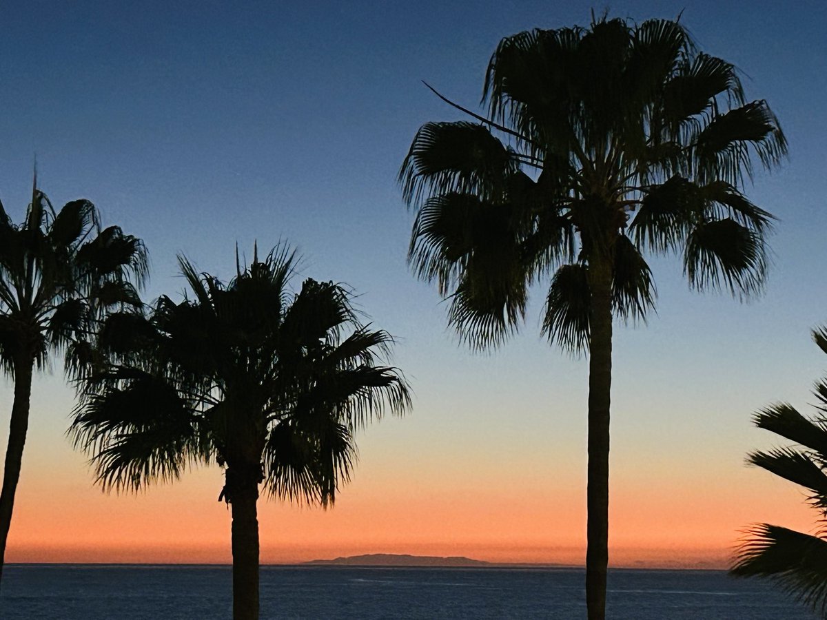 fat girl walking tweet media