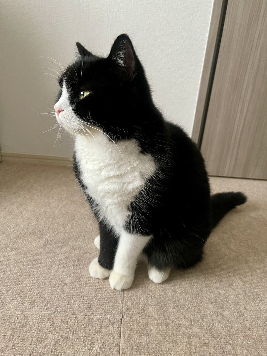 たろう (@taro20216) / Posts / X