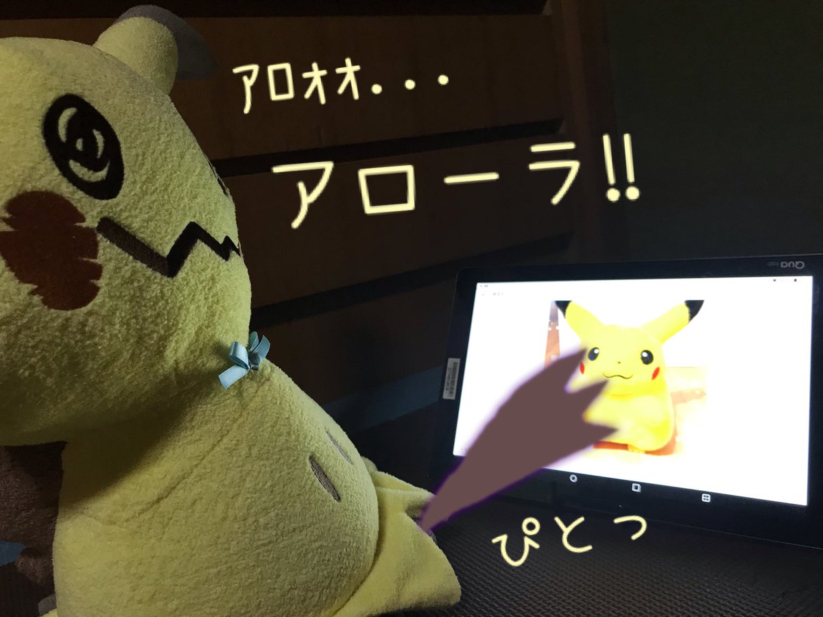 boochan08i ピカチュウに対して ミミッキュ生まれて初めて