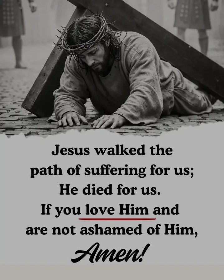 RosarySon tweet media