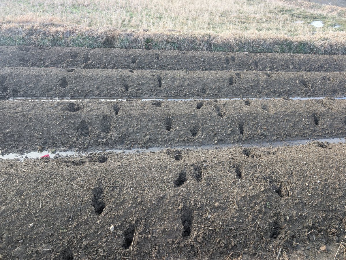見える…私には見える。
深夜に侵入したヤツがいる…😳