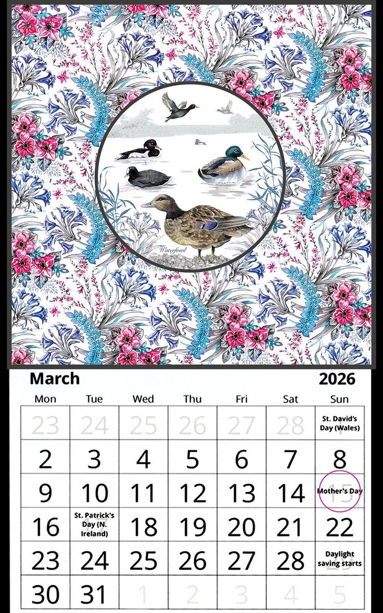 Decorque Cards tweet media